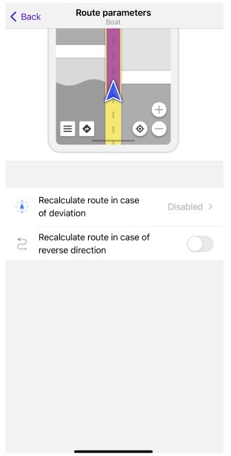 Direct-to-point routing settings iOS