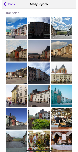 Gallery Menu – iOS