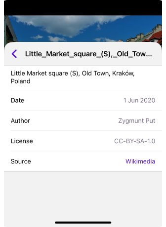 iOS – Details View
