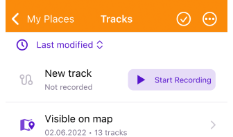 Track on the map iOS