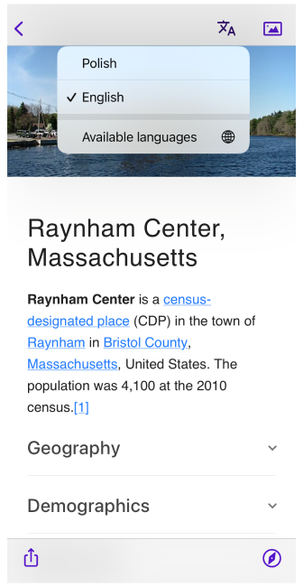 Mudando de idioma para um artigo específico